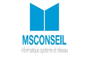 logo MS conseil
